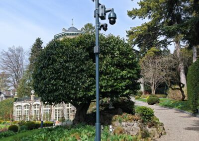 Mât de vidéosurveillance peint à la teinte choisie par le client, intégré dans le parc d'une propriété de prestige